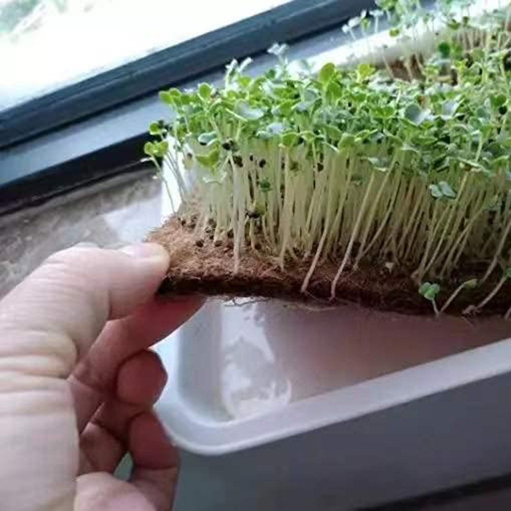 Biodegradable Bin Liner - لفة واحدة من حصيرة الألياف لصندوق
